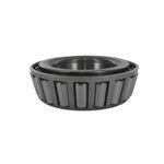 Cone-0037501