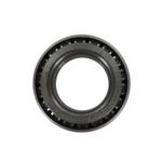 Cone-0037501