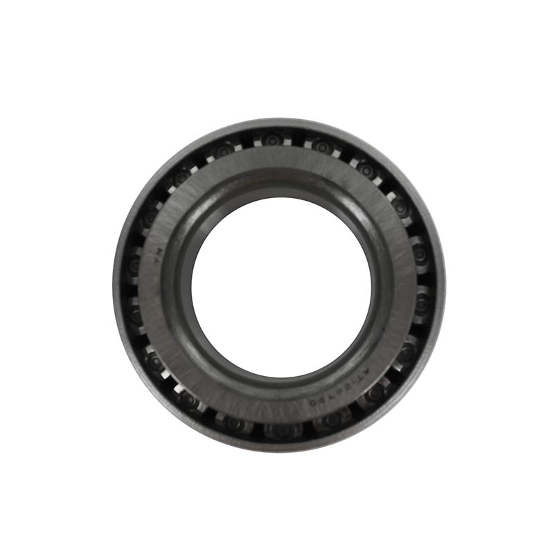 Cone-0037501