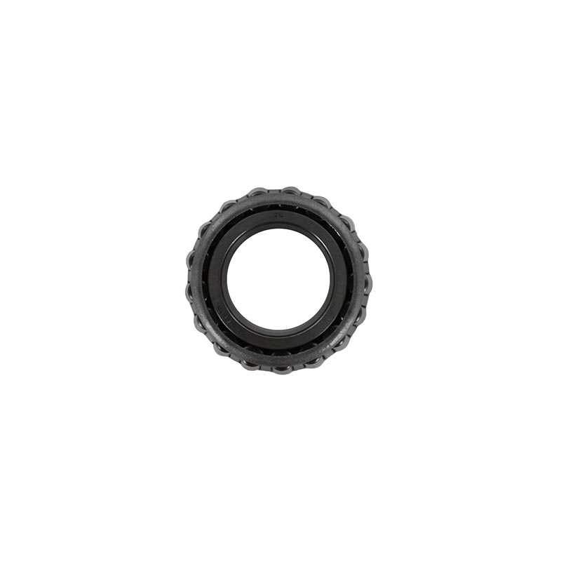 Cone-0049040