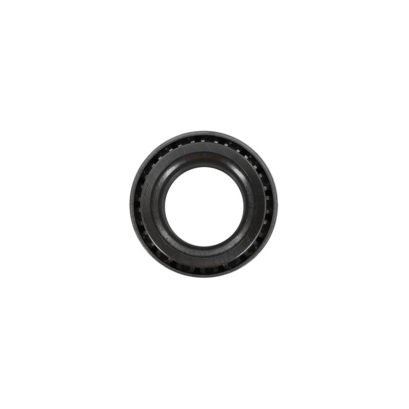 Cone-0049040