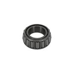 Cone-0049040