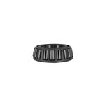 Cone-Bearing-0050471