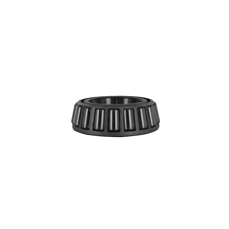 Cone-Bearing-0050471