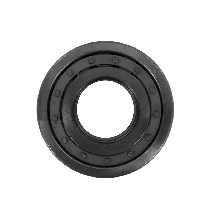 Cojinete-1297927