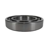 Bearing Ball 1L7205
