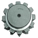 Piñon-2P3425