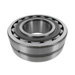Bearg-Roller-0951022
