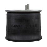 Bolsa-suspension-aire-Intrax-S-20901-9081-1R14-171