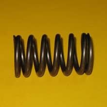 Spring-Valve-2816157