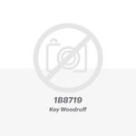 Key Woodruff para equipo Caterpillar® 1B8719