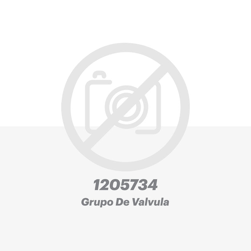 Grupo-de-valvula-para-equipo-Caterpillar®-1205734
