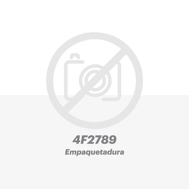 Empaquetadura 4F2789