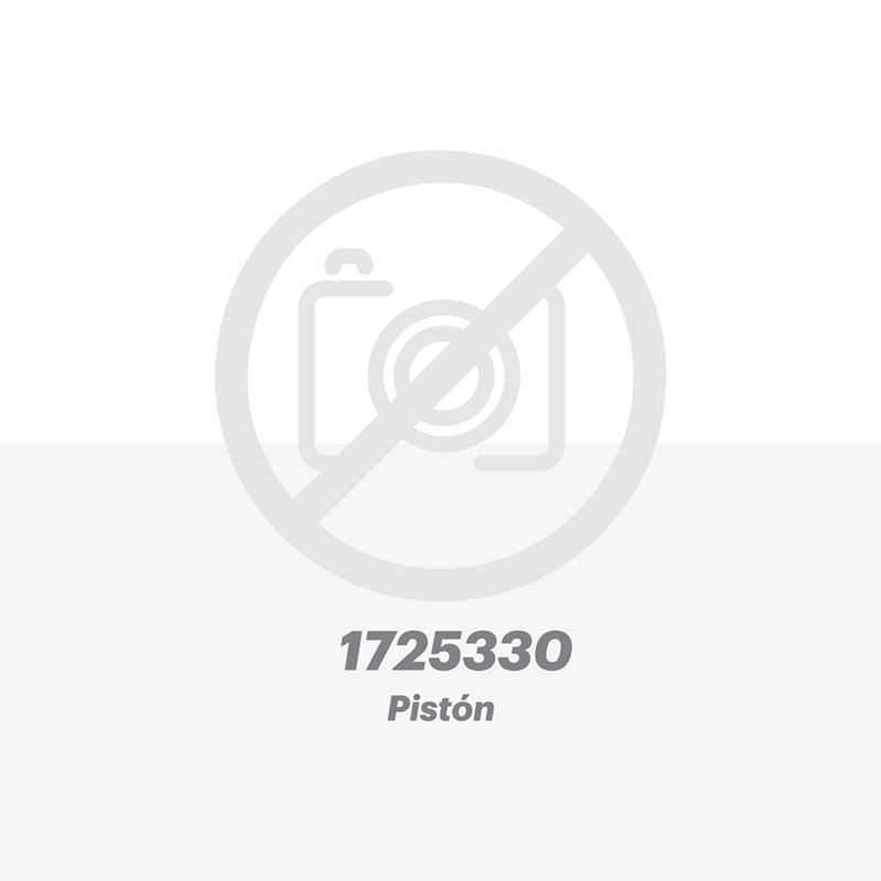 Piston 1725330
