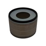 Filtro-de-aire-SW0073