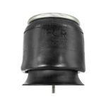 Bolsa-de-aire-para-suspension-SPT-FS9069-FCR-1B12069