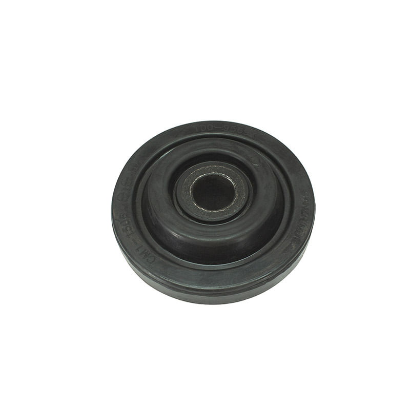 Mount-Rubber-1099369