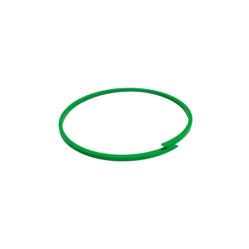 Ring---Back-Up-1505844