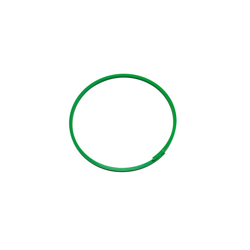 Ring---Back-Up-1505844