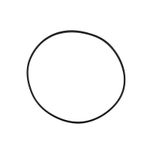 Seal O Ring 1067540