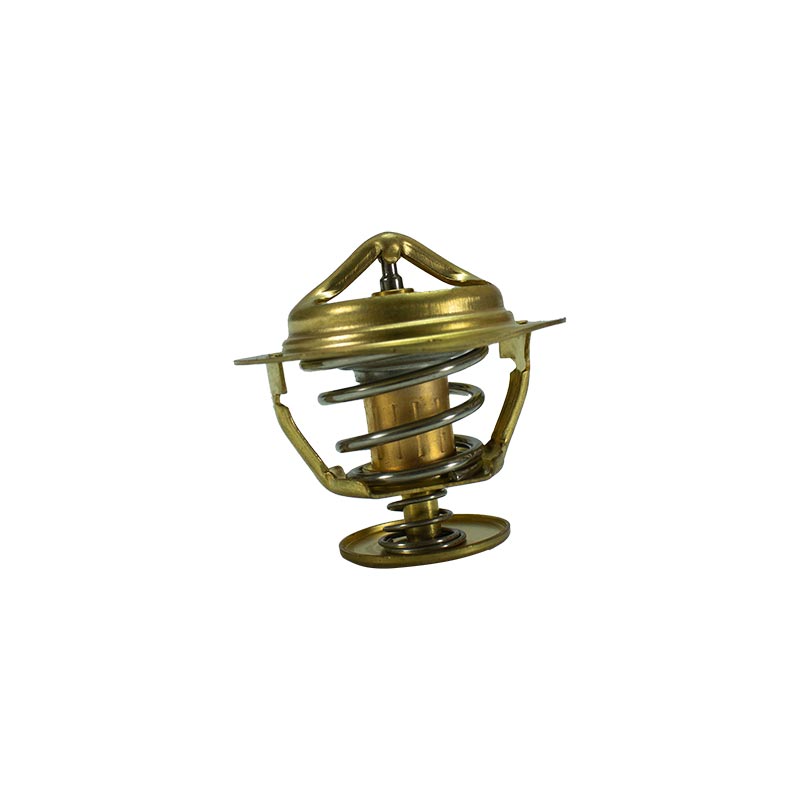 Termostato-600-421-6110