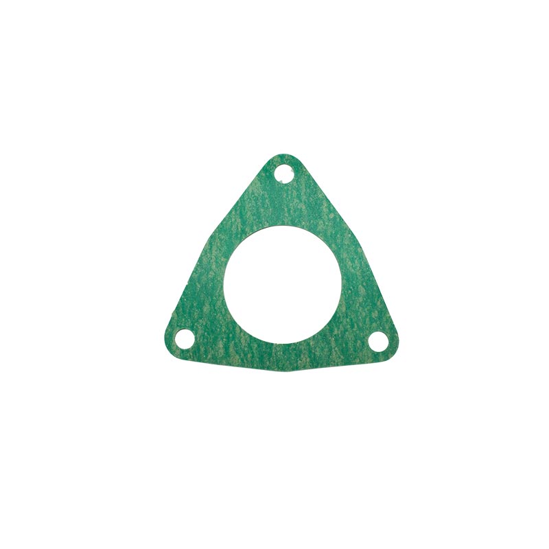 Gasket-Fuel-2416002