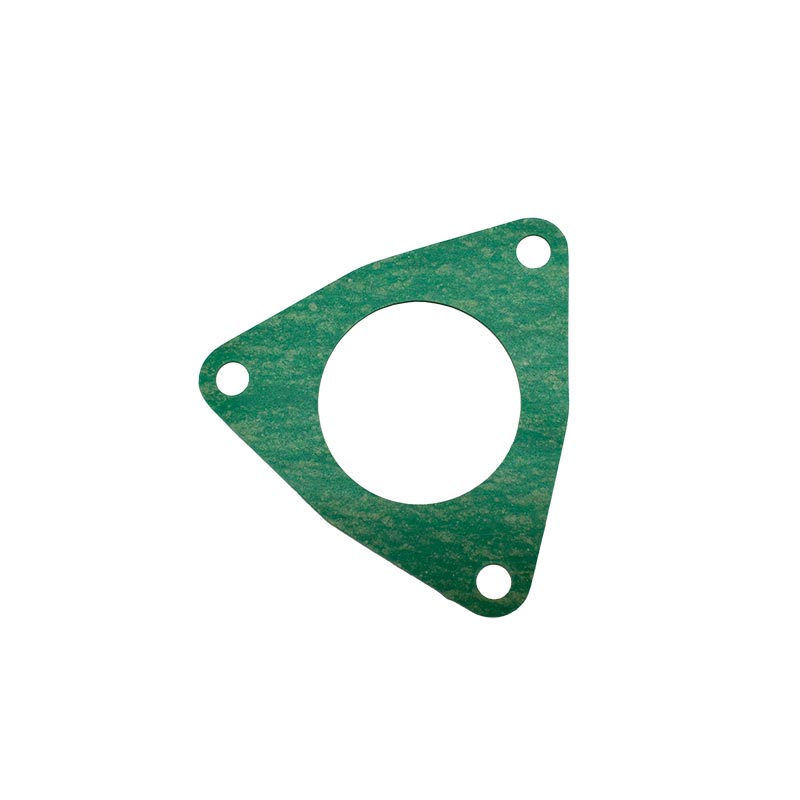 Gasket-Fuel-2416002