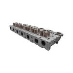 Cabeza-Armada-del-motor-1105096NA