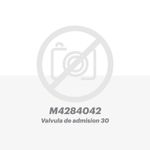 Valvula-de-admision-30-para-equipo-Deutz®-M4284042