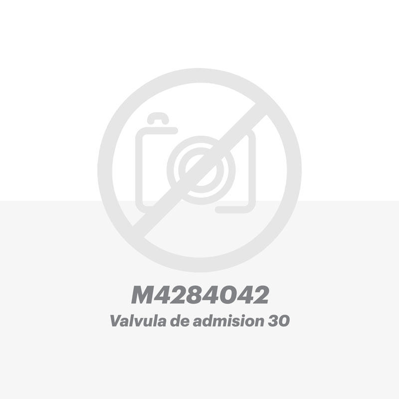 Valvula-de-admision-30-para-equipo-Deutz®-M4284042