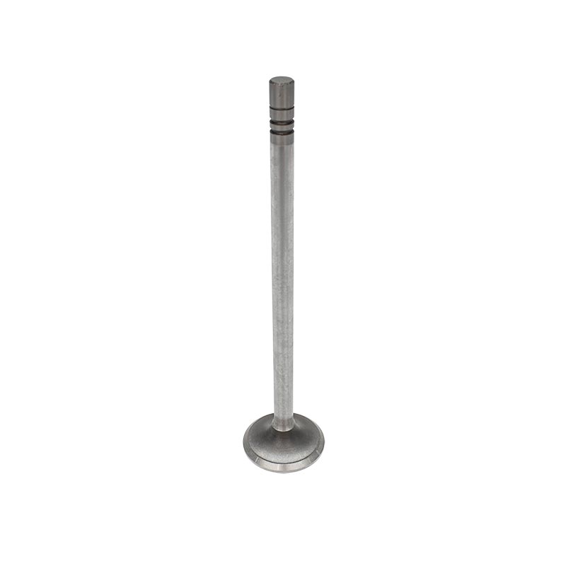 Valve-Exhaus-2481467