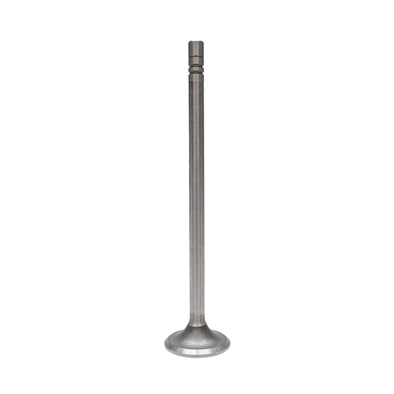 Valve-Exhaus-2481467