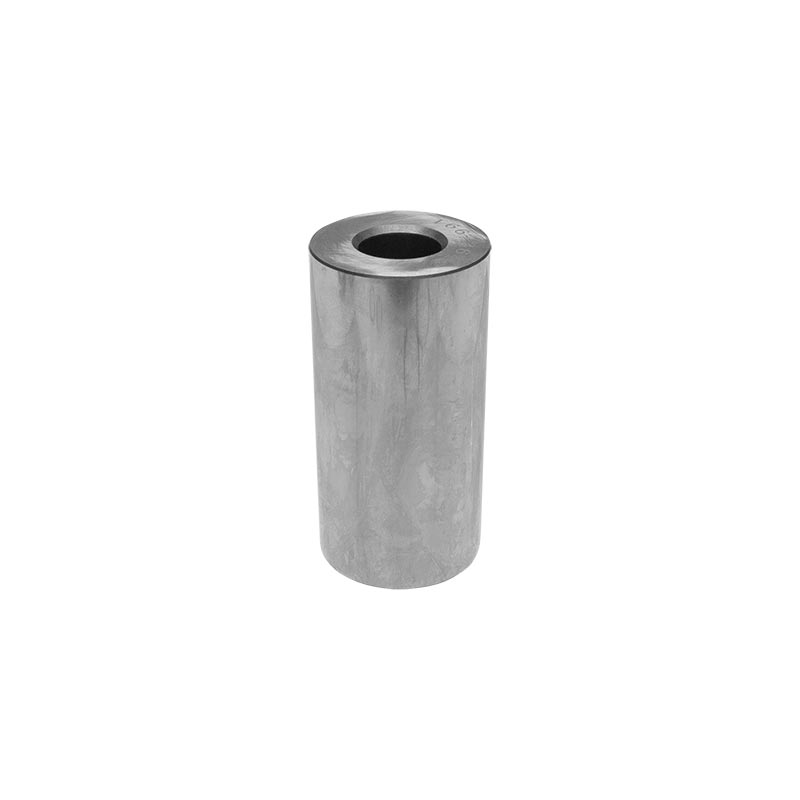 Conjunto de Piston PLG1258869