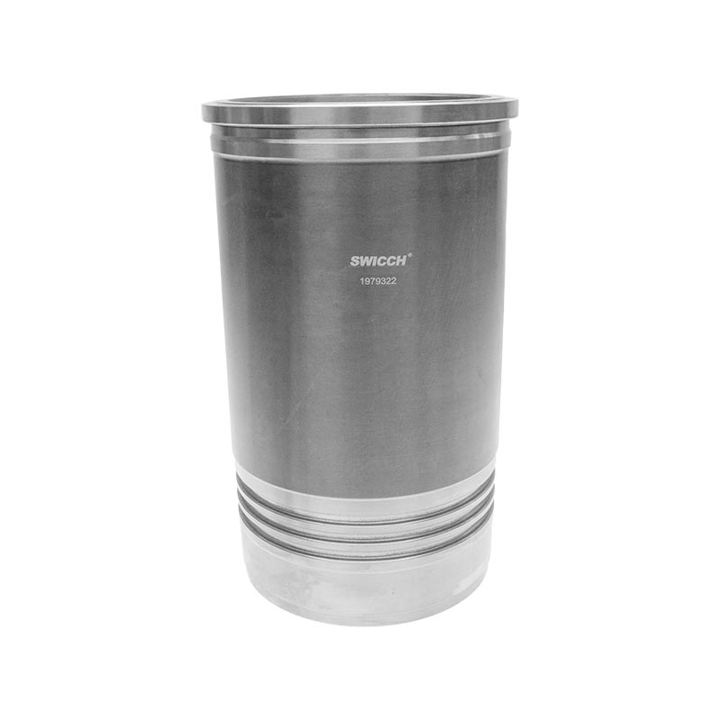 Conjunto de Piston PLG1258869