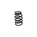 Resorte-Valvula-para-cabeza-de-motor-P3174A031