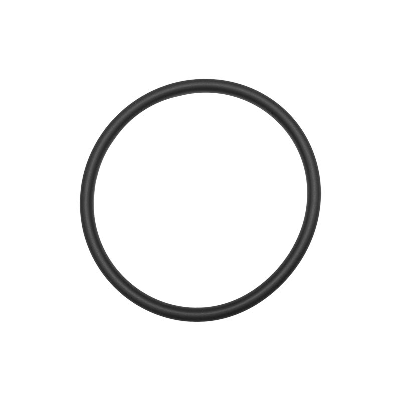 O Ring 162995A1