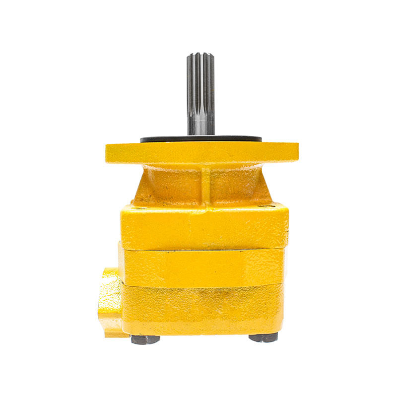 Bomba de paletas 4D4661