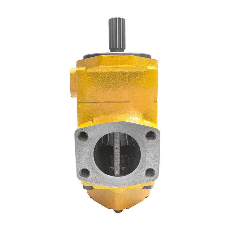 Bomba de paletas 9J5055