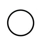 Seal O Ring 0951663