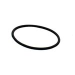 Seal O Ring 0951663