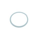 Back Up Ring 160412A1